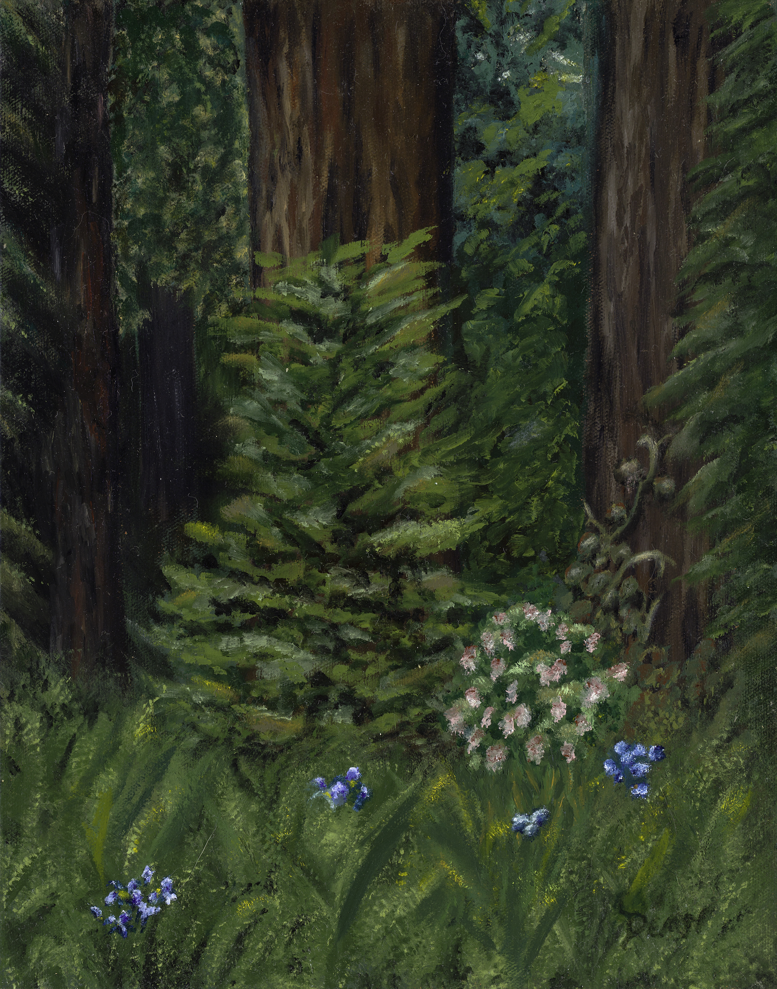 The Forrest of Nisene Marks: oil painting on panel