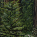 forrest nisene marks thumbnail