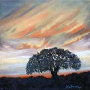 California Oak