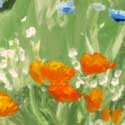 wildflowers thumbnail